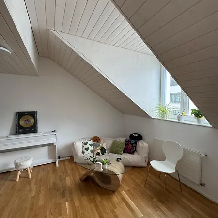 民宿 Loftzimmer Im Zentrum Von